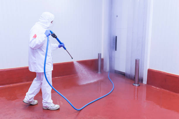 Best Driveway Pressure Washing  in Rohnert Park, CA